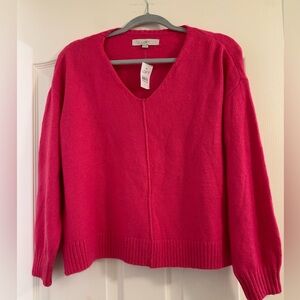 Ann Taylor Loft Sweater Medium